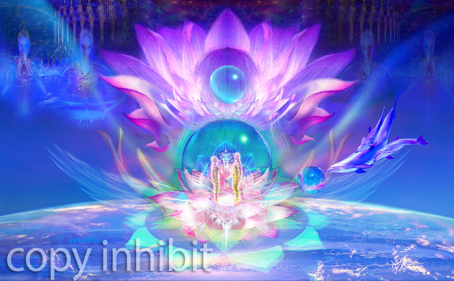 ハート・シード