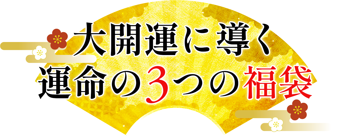 大開運に導く
運命の３つの福袋